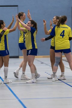 Bild 287 - F HSG Pinnau2 - Rellinger TV2 : Ergebnis: 27:20